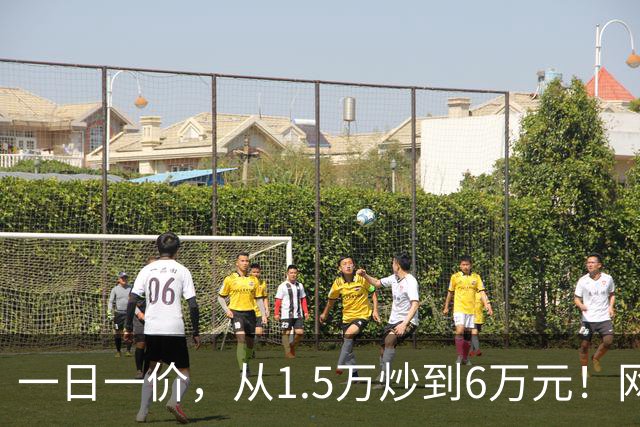 一日一价，从1.5万炒到6万元！网友：怎么涨得比黄金还离谱