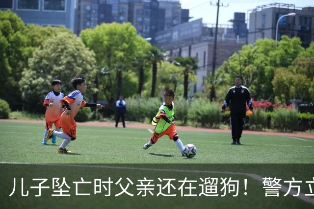儿子坠亡时父亲还在遛狗！警方立案，母亲曝光铁证，果然有阴谋