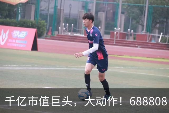 千亿市值巨头，大动作！688808，筹划赴港上市！