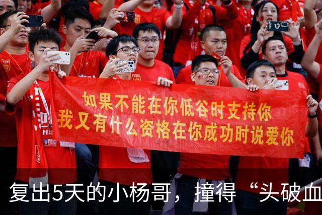 复出5天的小杨哥，撞得“头破血流”