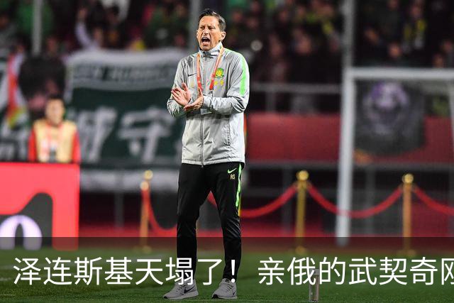 泽连斯基天塌了！亲俄的武契奇刚下台，新政府就针对乌克兰
