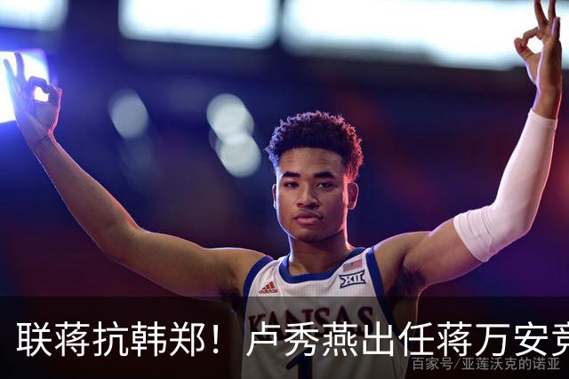 联蒋抗韩郑！卢秀燕出任蒋万安竞总主委，前蓝委指二人微妙竞争关系