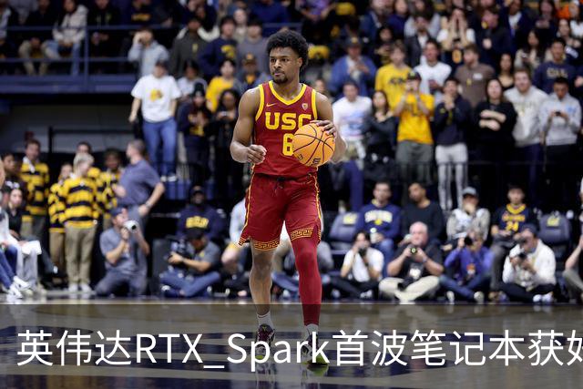 英伟达RTX Spark首波笔记本获好评，但续航成了问号