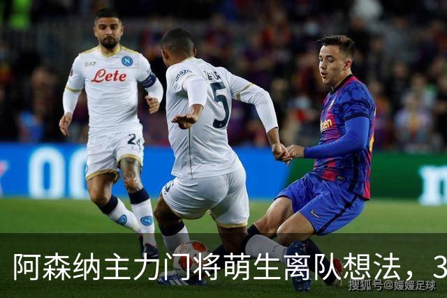 阿森纳主力门将萌生离队想法，3.76亿元锋线新援进入引援视野